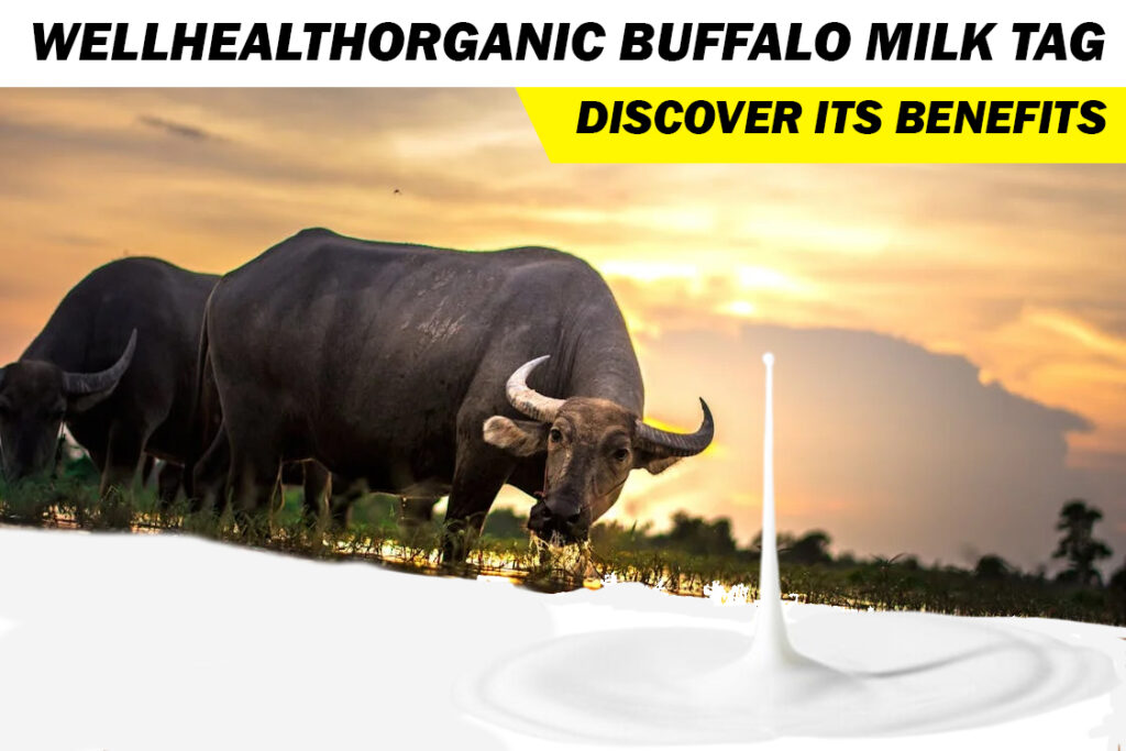 wellhealthorganic buffalo milk tag